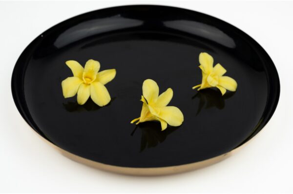 Dednrobium Orchid_gelb_GREENIN Moosbilder