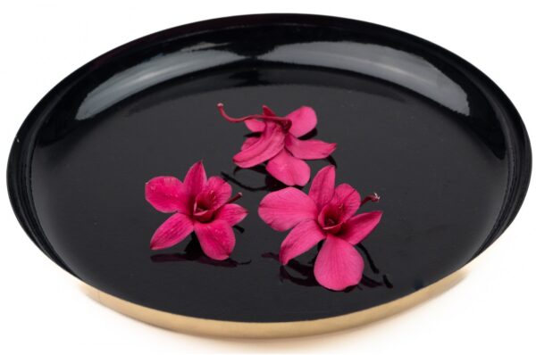 Dendrobium Orchid_fuchsia_GREENIN Moosbilder