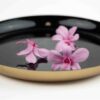 Dendrobium Orchid_pink_GREENIN Moosbilder