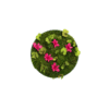 Moosbild mit Blumen-GREENIN-o40-600x600