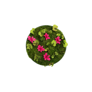 Moosbild mit Blumen-GREENIN-o40-600x600