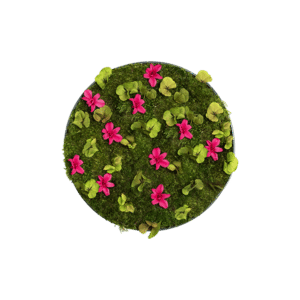 Moosbild mit Blumen-GREENIN-o50-600x600