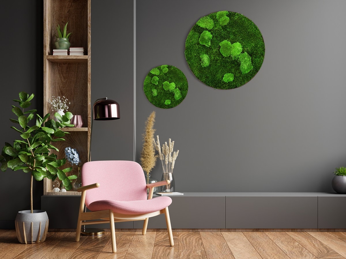 Moosbilder GREENIN - Runde Wandbilder aus Moos